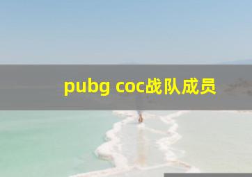 pubg coc战队成员